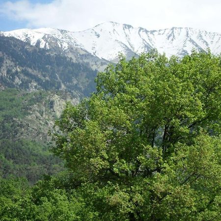 Апарт отель Les Balcons Du Canigou Верне-ле-Бен Экстерьер фото