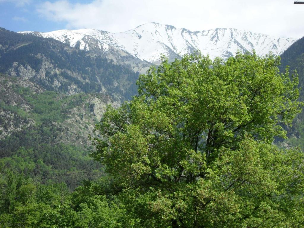 Апарт отель Les Balcons Du Canigou Верне-ле-Бен Экстерьер фото